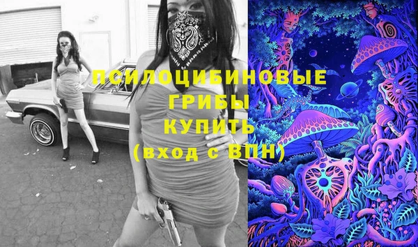 ешки Мегион