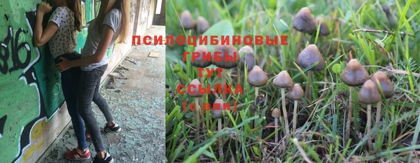 кокаин перу Медвежьегорск