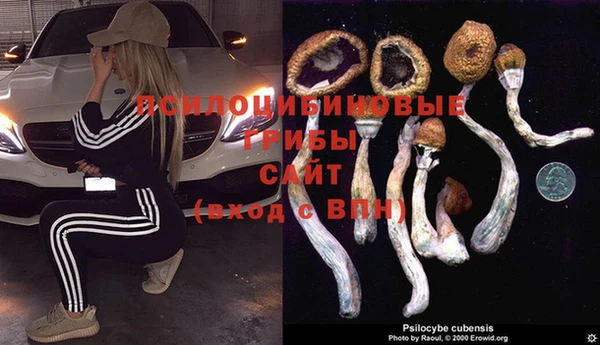соль ск Медногорск