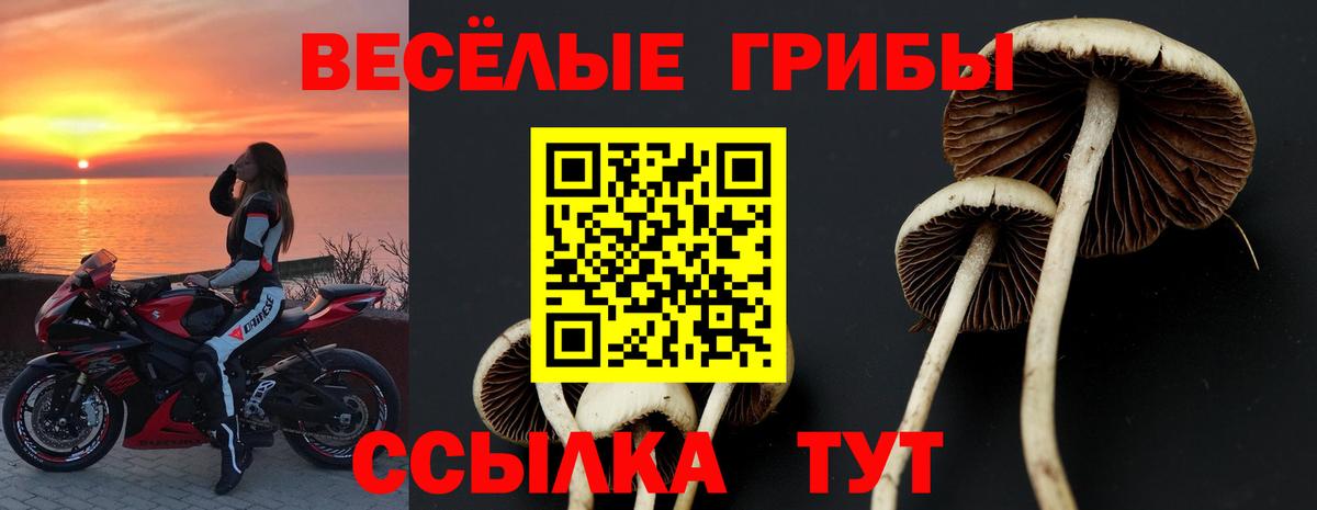 Галлюциногенные грибы мицелий Янаул